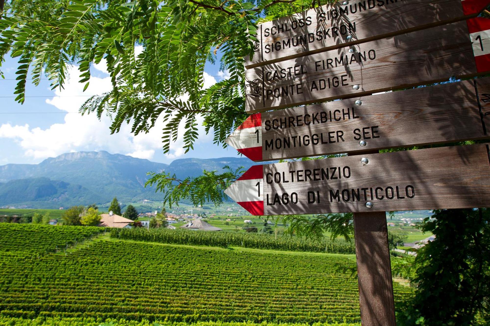 Belia Lofts - Adults Only - Apartments Appiano Sulla Strada Del Vino Exterior photo