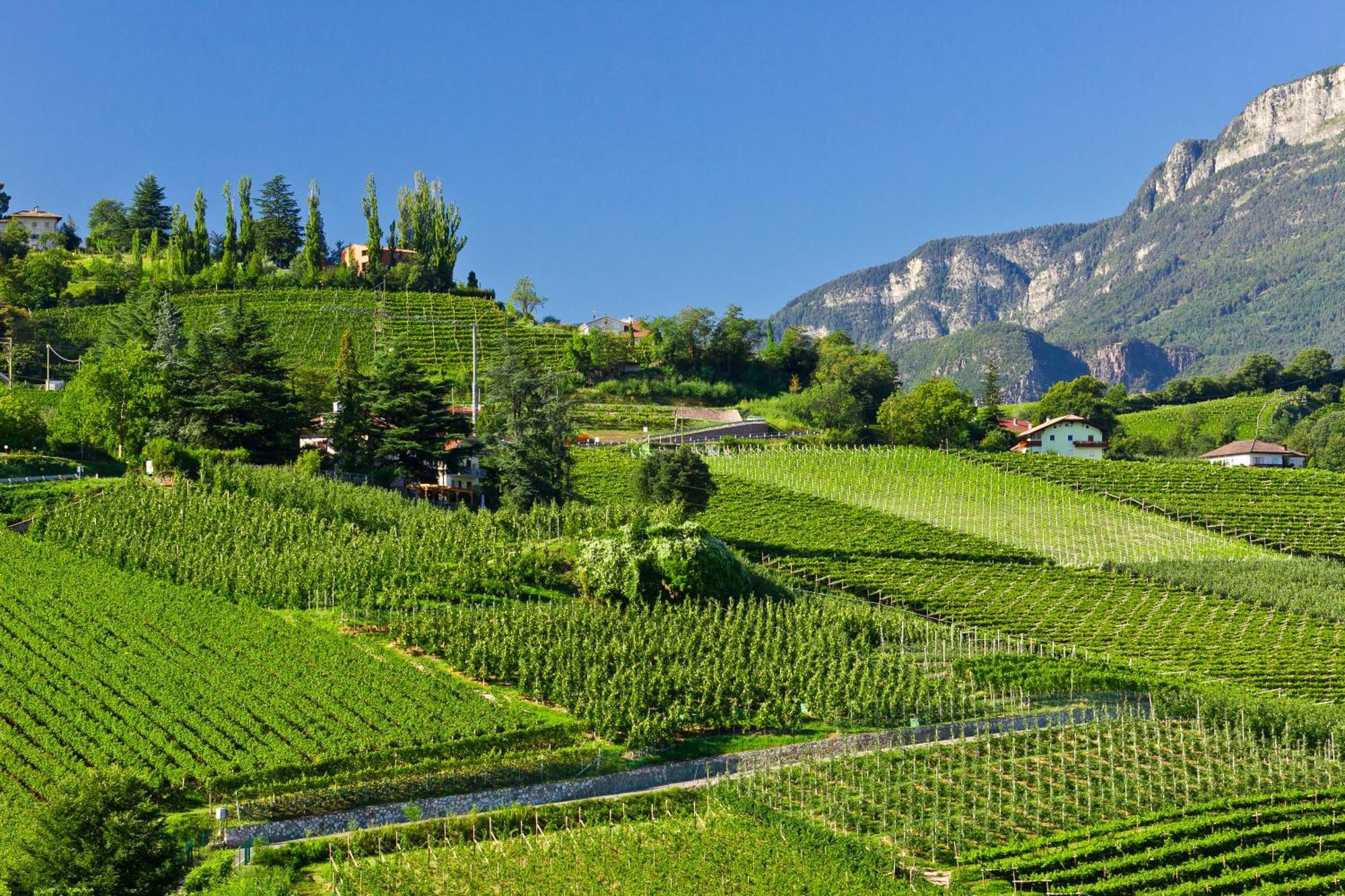 Belia Lofts - Adults Only - Apartments Appiano Sulla Strada Del Vino Exterior photo