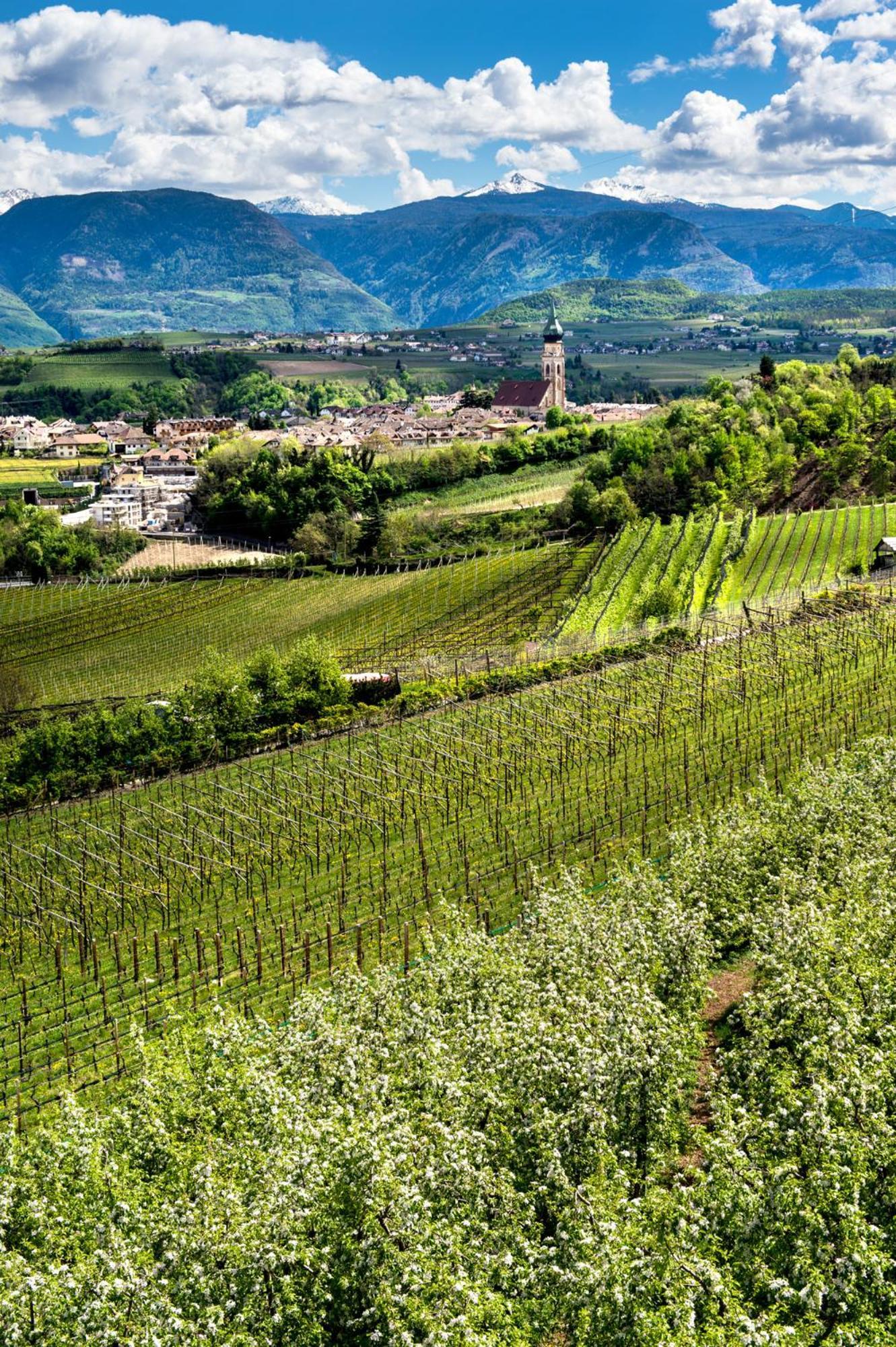 Belia Lofts - Adults Only - Apartments Appiano Sulla Strada Del Vino Exterior photo